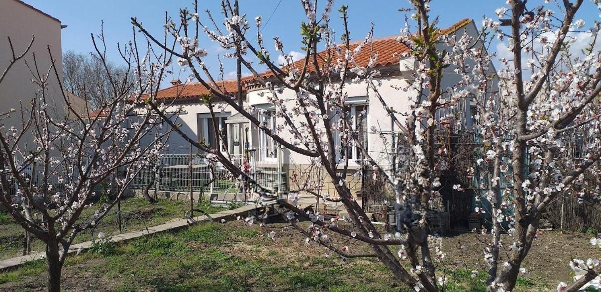La Maison Du Bonheur 생 로랑 드 라 살랑크 외부 사진